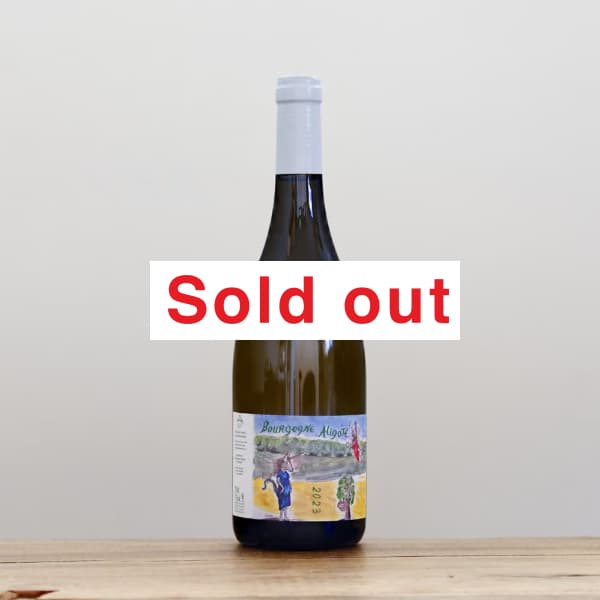 ����ꡦ�Ρ����󡦥ե���󡡥֥르���˥塦���ꥴ��2023��