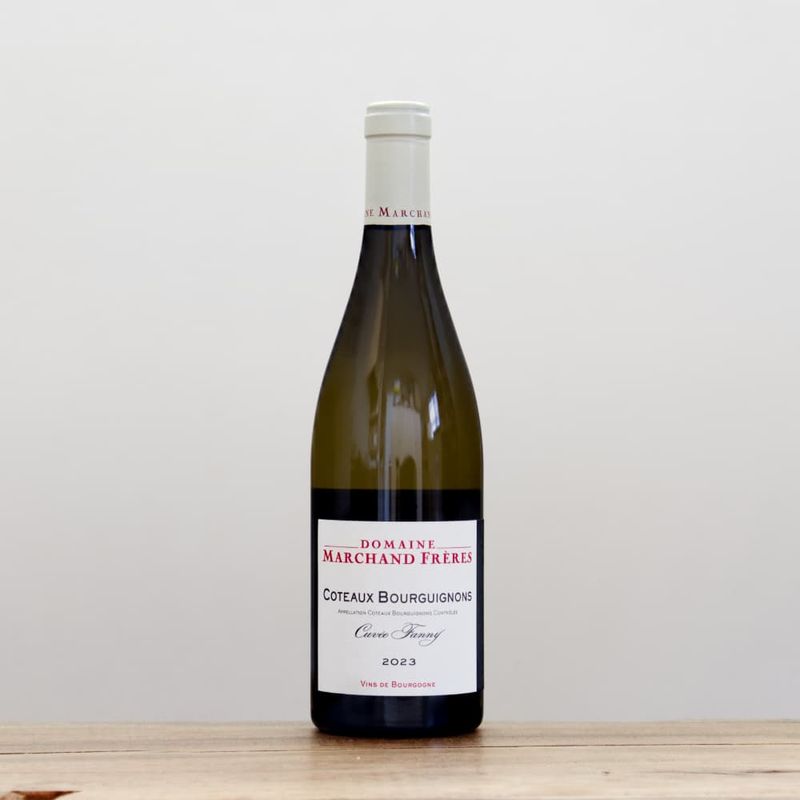 ޥ륷󡦥ե졼롡ȡ֥륮˥󡦥֥󡡥ե2023