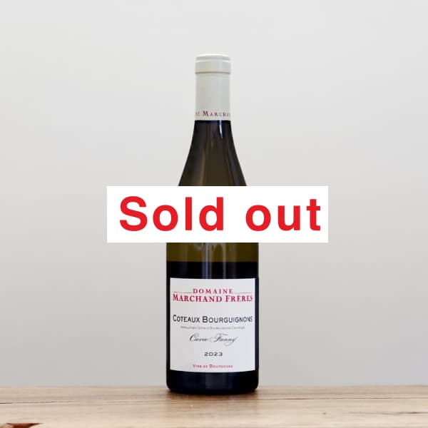 �ޥ륷��󡦥ե졼�롡���ȡ����֥륮�˥�󡦥֥�󡡥���������ե���2023��