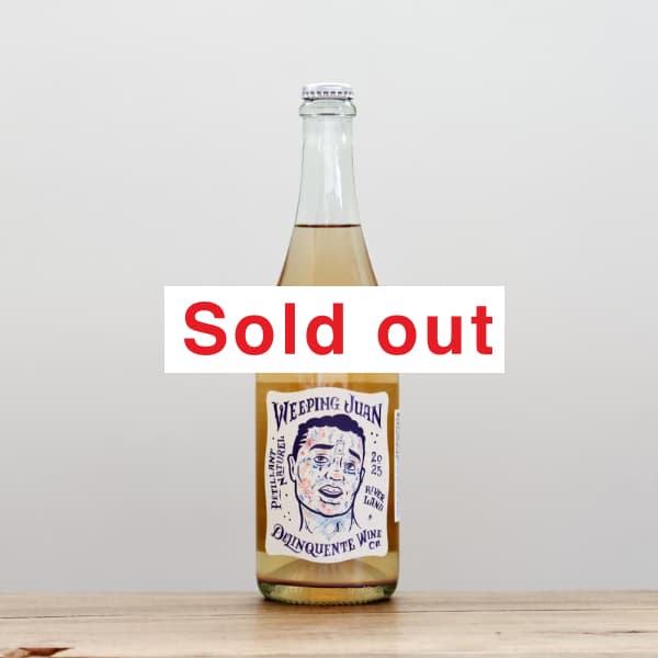 �ǥ�󥯥���ơ��������ԥ󥰡��ե���2025����ˢ