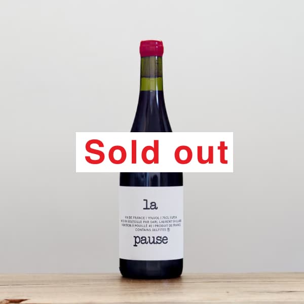 ������󡦥����䡼�롡�顦�ݡ���2024��