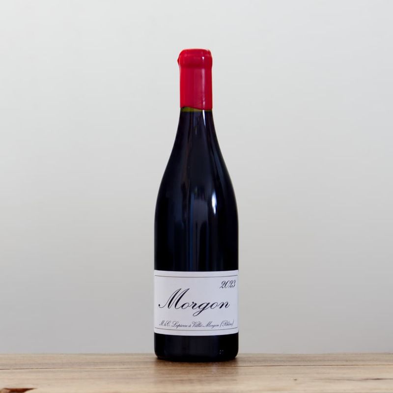 【ラングロール】テールドンブレ　2023 Terre d'ombre 2023 L'ANGLORE / テール・ドンブレ 2023 ラング