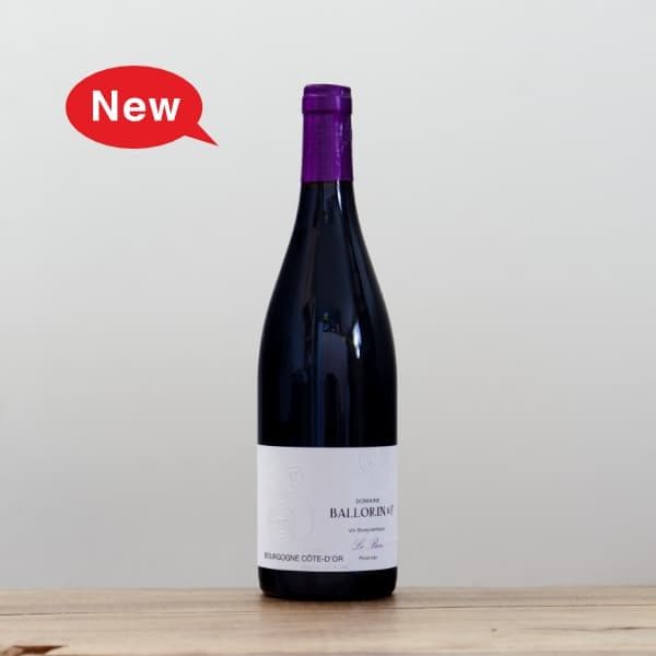 アズッカ・エ・アズッコ カラーガール2022赤