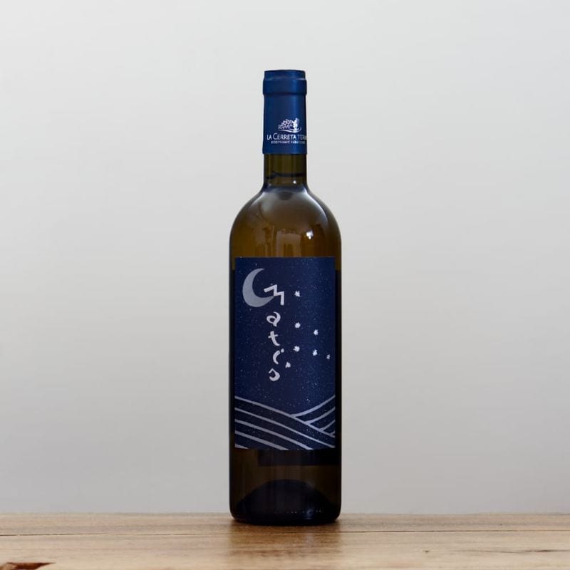 ݥǡ졦顦å졼ޥƥ2023