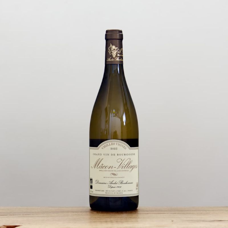 ɥ졦ܥΥࡡޥ󡦥顼塦桦˥2023