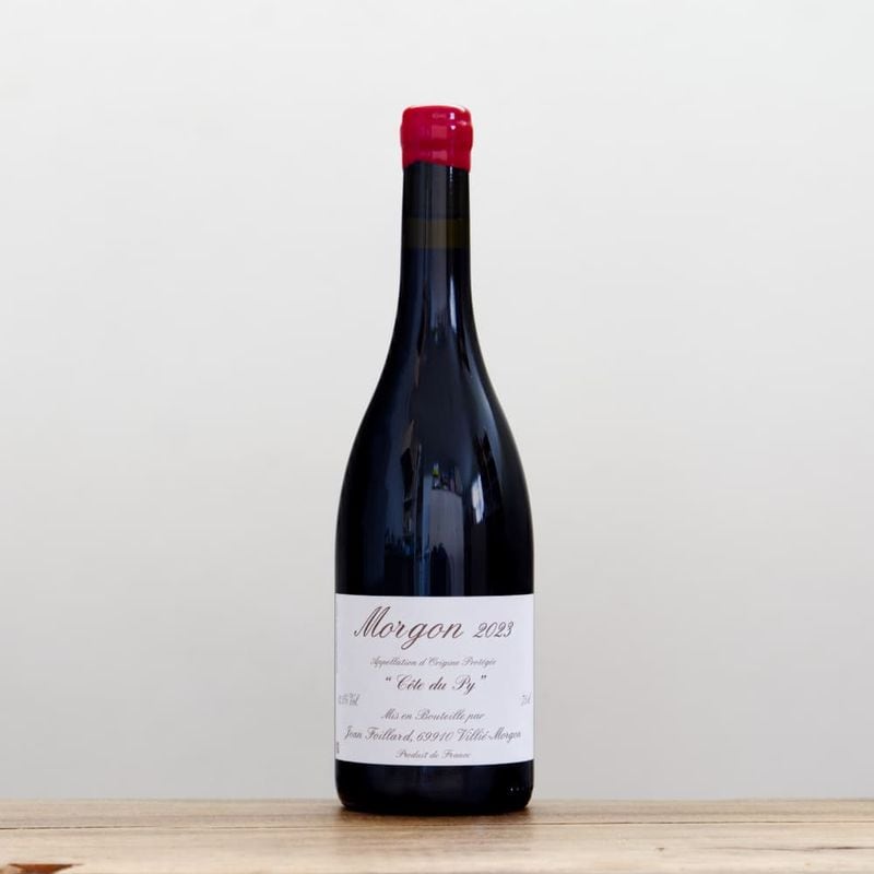 󡦥ե䡼롡르󡦥ȡǥ塦ԥ2023