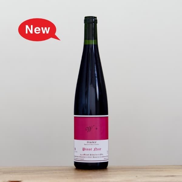 顼롦졼롡ԥΥΥ롡Wܡʥɥ֥롦ץ她2023