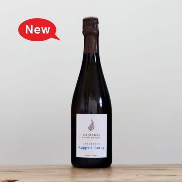 ڡ롦졦˥硼2017ˢ