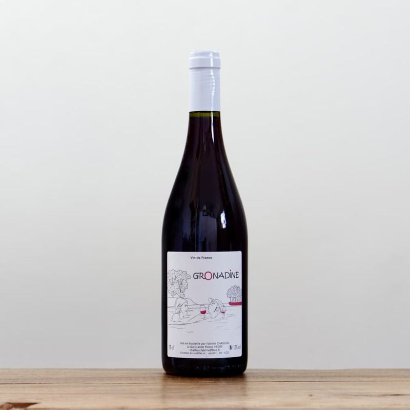 ラディコン ポップ・ロッソ2023赤