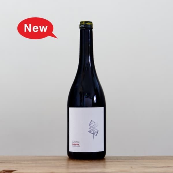 롦ԥĥ륫ޥǥ饹2023