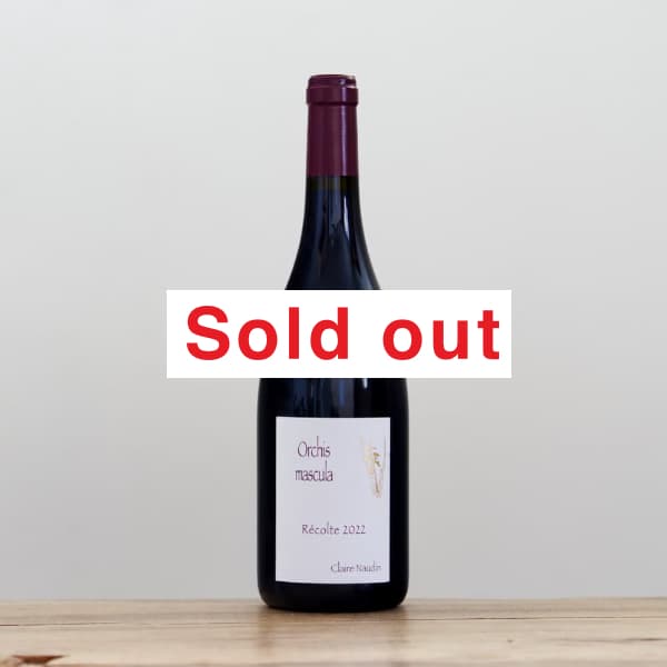 ����ꡦ�Ρ����󡦥ե���󡡥��륭���������ȡ������ȡ��ɡ��ܡ���2022��