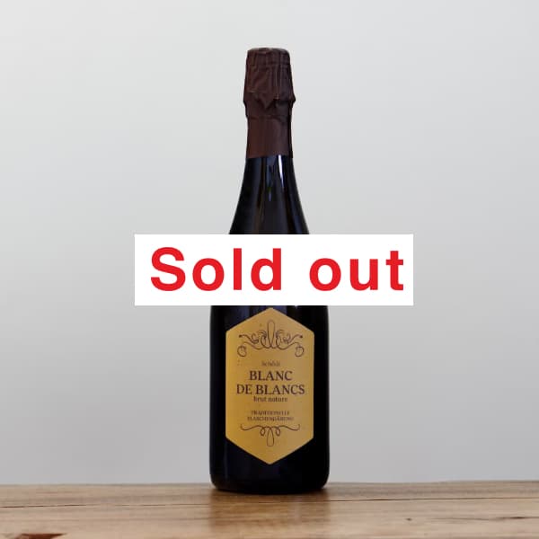 シューデル フリー・ユア・マインド2022白