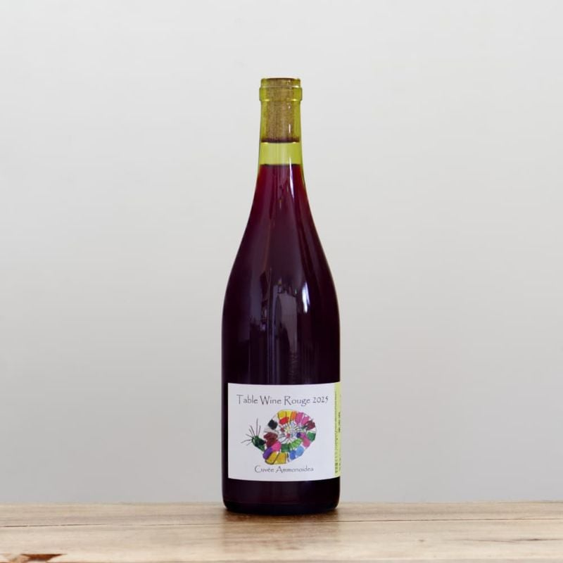 ホドルスクリーク ヤラヴァレー ピノノワール2023赤