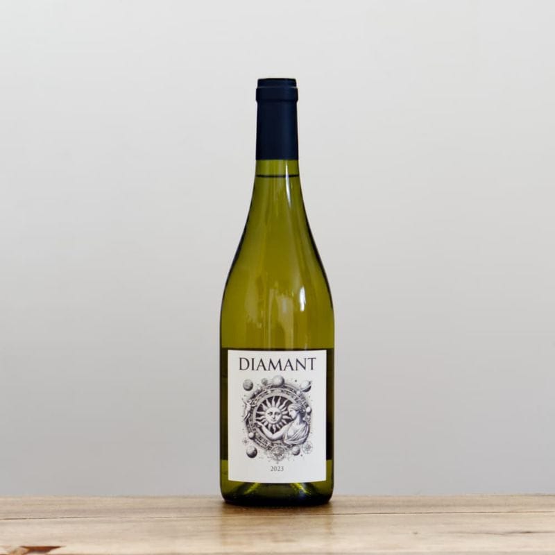 セイル・ザ・シップ・ヴィンヤード ケシキ2022赤