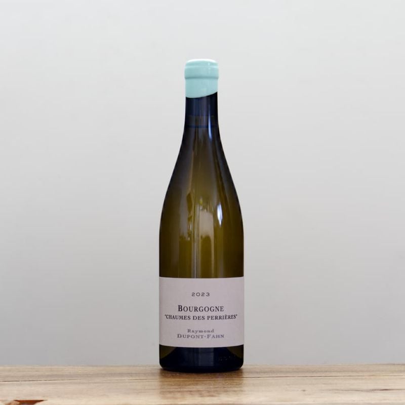 濱中史朗 鉢 レザー