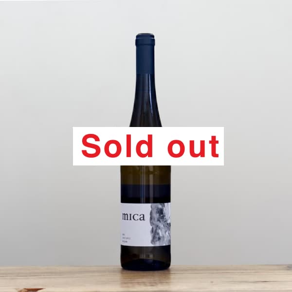 �����˥ӥ����ߥ�2023��