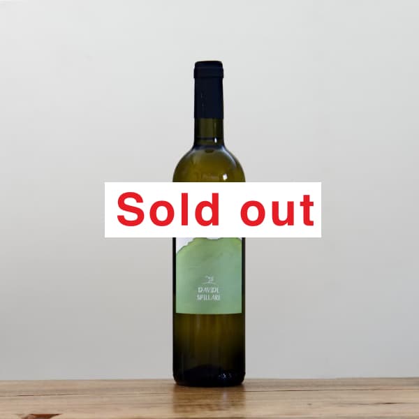 �������ǡ����ԥå�졡�ӥ��󥳡����쥹����2023��