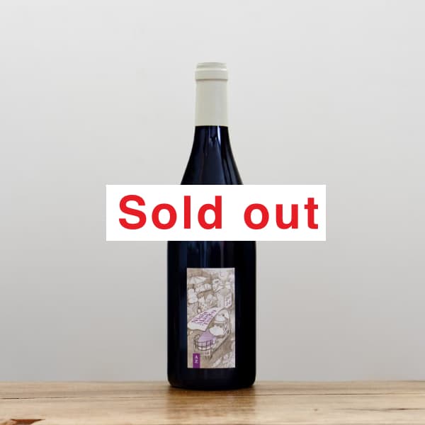 アズッカ・エ・アズッコ 夜のマーケット・ツアー2024赤