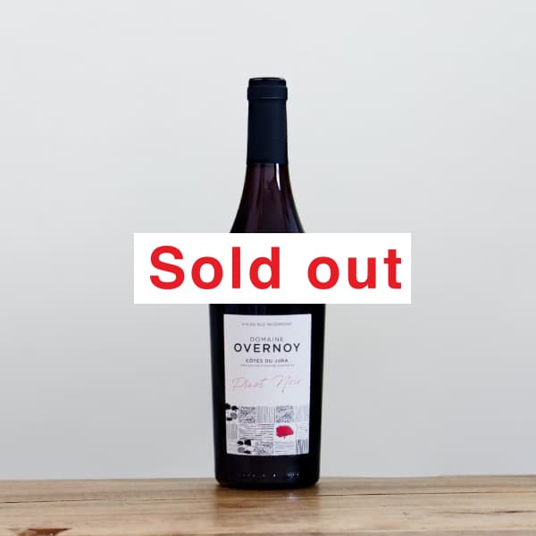 ���硼�ࡦ��������Υ�ԥΥΥ��2023