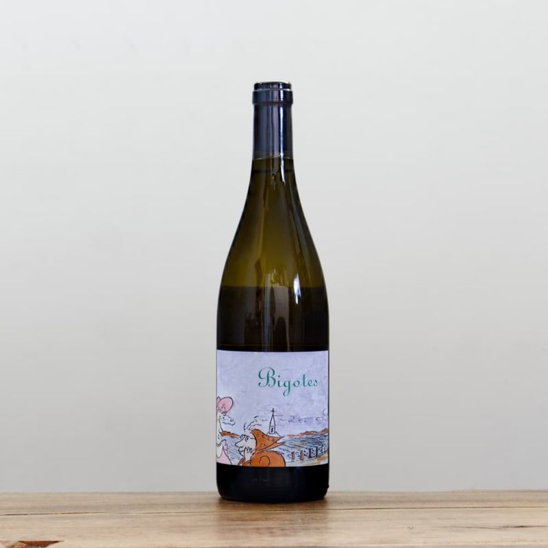 フレデリック・コサール シルーブル レ・ザンオー2021赤