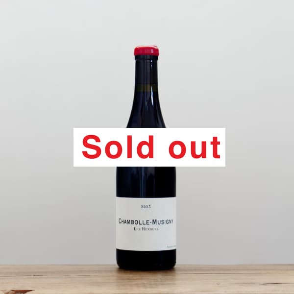 �ͥ������󡦥ե�ǥ�å����������롡�����ܡ��롦�ߥ奸�ˡ����졦����ӥ�2023��