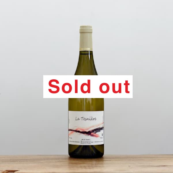 �ԥ����롦������������ܥΡ��ࡡ�顦�ƥ˥�����2024��