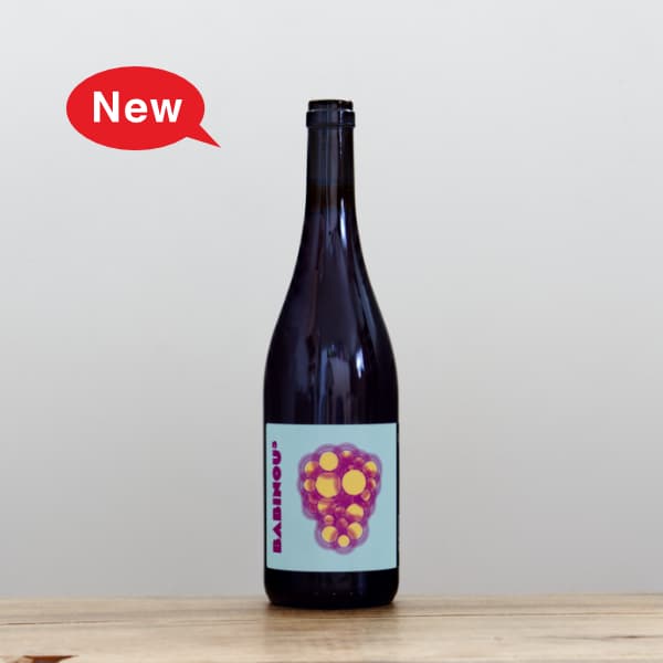 濱中史朗 鉢 レザー