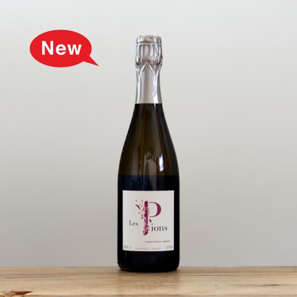 GI The Winners 2022 記念品 autosport web shop / 勝田貴元 記念 Tシャツ 2022（ホワイト）