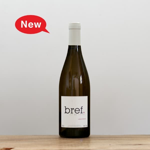 ウィンウィン　ポラロイド ART｜ヴィンテージポラロイドカメラ“SX-70”を限定発売「Comic