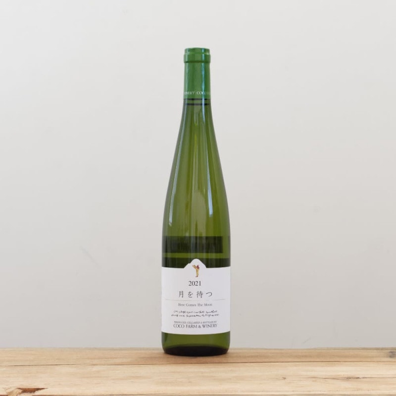 セイル・ザ・シップ・ヴィンヤード アンカー2021赤