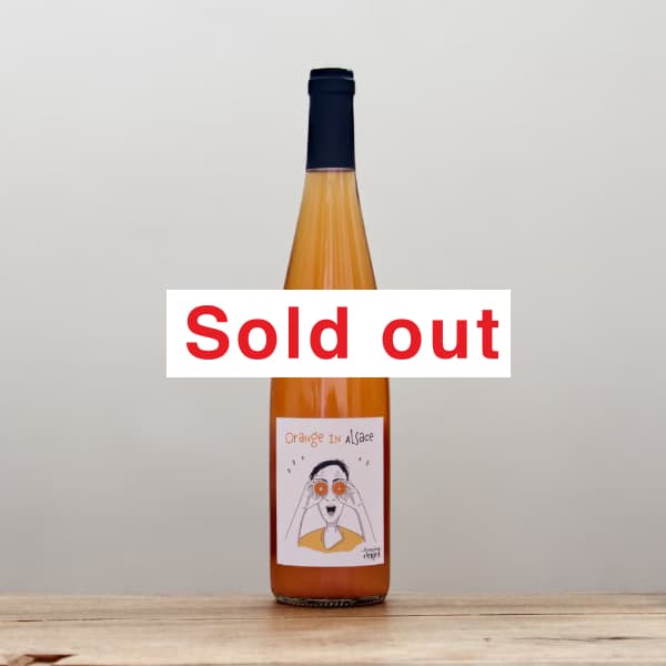 ���󥲥롡����󥸥塦���󡦥��륶��2024��