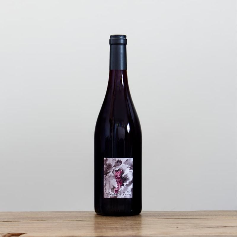 パーネ・ヴィーノ ストーム・ヴェンティ・ヴェンティ・2020赤