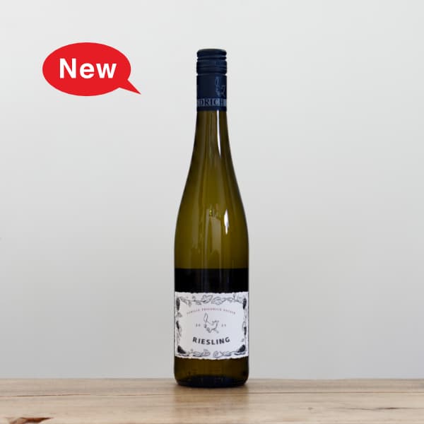 2024 夜のマーケットツアー 赤 /アズッカ エ アズッコ アズッカ・エ