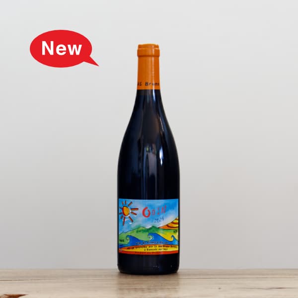 �֥롼�Ρ��ǥ奷���󡡥�����2024��