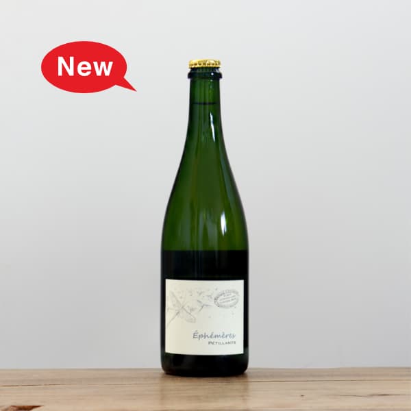 �֥Υ�����������ե��᡼��2023��ˢ