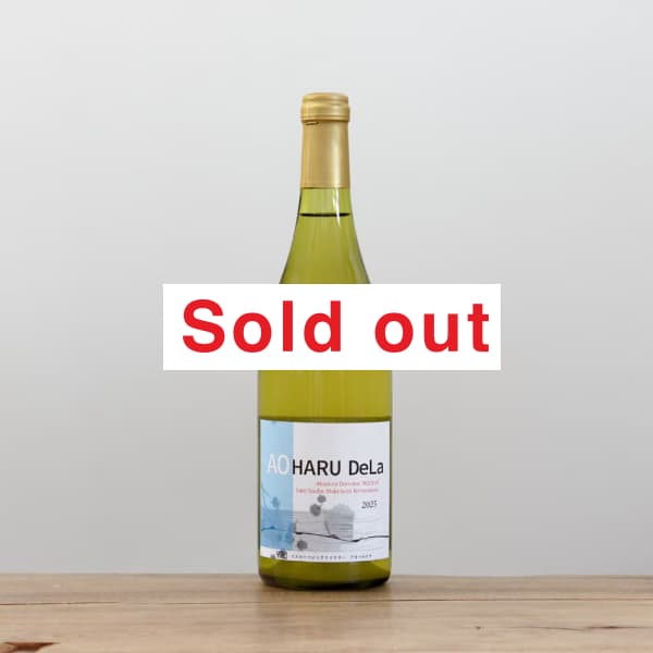 �����������ޥ��å����磻�ʥ꡼�������ϥ롦�ǥ�2025��