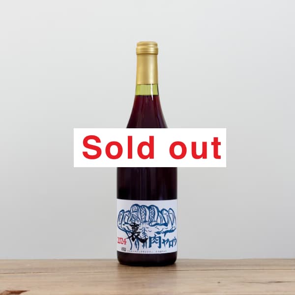 �����������ޥ��å����磻�ʥ꡼��΢���������2024��