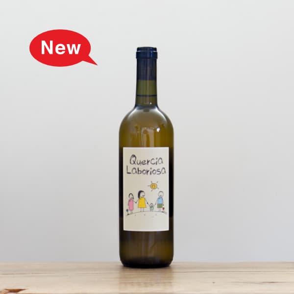 �ƥå졦�ǥ����ԥ��ȥ顡����������ܥꥪ����2023��