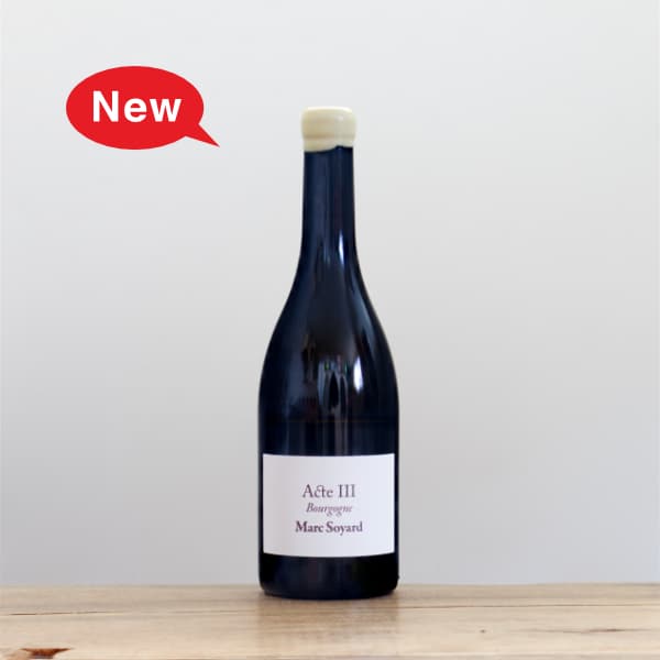 アズッカ・エ・アズッコ オン・ザ・ストリート2024赤