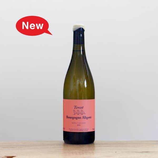 �᥾�󡦥ƥ륻���֥르���˥塦���ꥴ��2023��