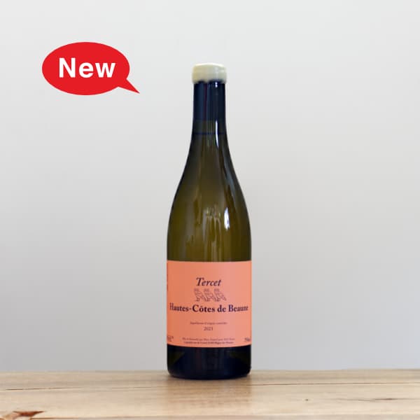 �᥾�󡦥ƥ륻�������ȡ������ȡ��ɡ��ܡ��̡��֥��2023��