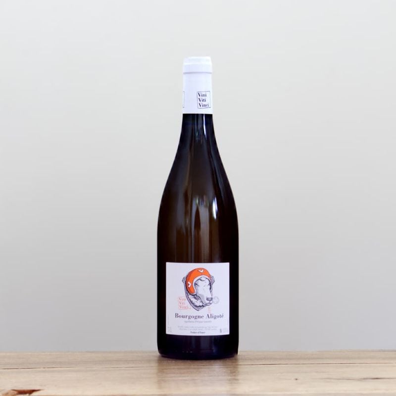 �����ˡ������ƥ���������������ꥴ�ơ��ޥ��饷����2023��