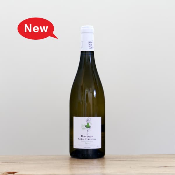 �����ˡ������ƥ�����������������ȡ��ɥ����롡�֥쥪2023��