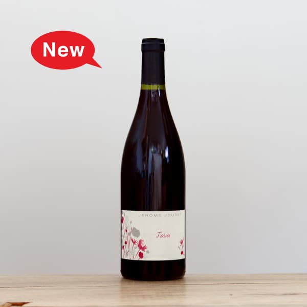 セイル・ザ・シップ・ヴィンヤード ミスターフィールグッド2022赤