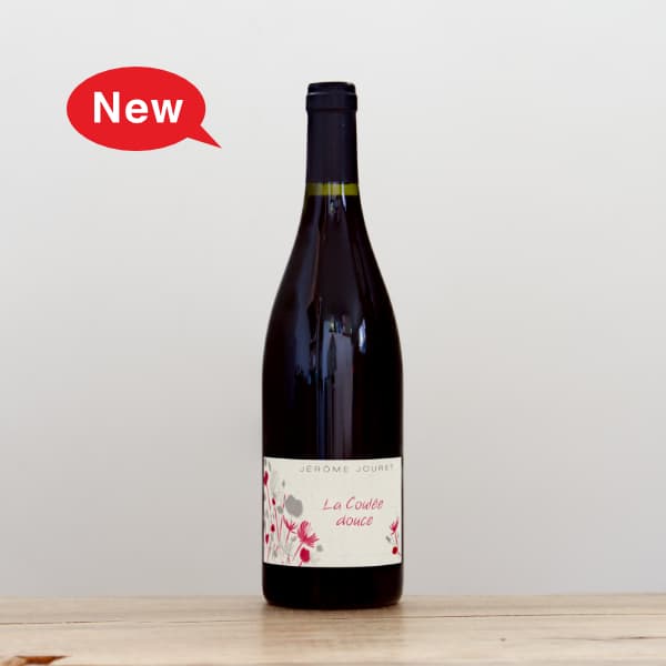 ���������ࡦ����졡�顦�����졦�ɥ�����20212021��