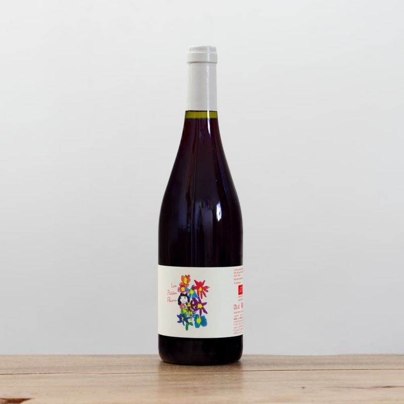 �����󥵥󡦥ȥꥳ���졦�ץƥ��åȡ��ե롼��2024��