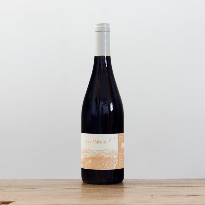 �����󥵥󡦥ȥꥳ���졦�ߥ��2024��