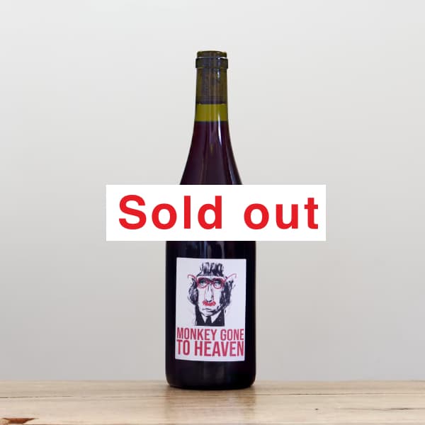 ����ꥢ�󡦥ԥΡ�����󥭡��������󡦥ȥ����إ���2024��