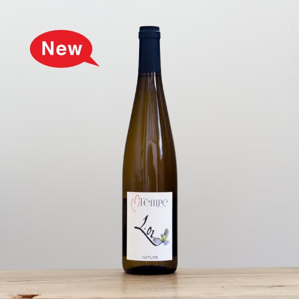 �ޥ륯���ƥ�ڡ����ࡦ�ơ������󡡥��å�01�����롼�롦���饤��2024��