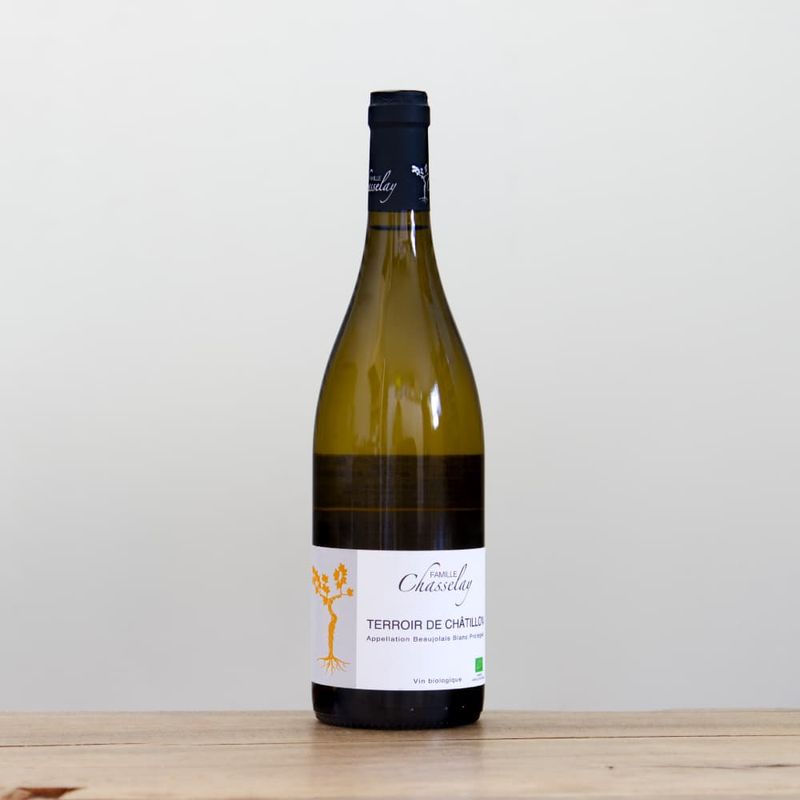 �ե��ߡ��桦���㥹�쥤���ƥ���롦�ɡ�����ƥ����2023��